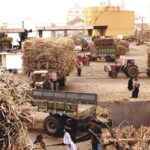 A Comparative Analysis: Khoski Sugar Mills vs Other Sugar Mills in Pakistan