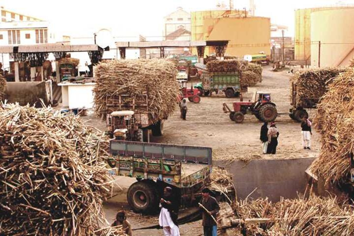 A Comparative Analysis: Khoski Sugar Mills vs Other Sugar Mills in Pakistan